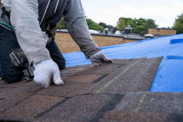 Best Roof Maintenance Services  in Honeygo, MD